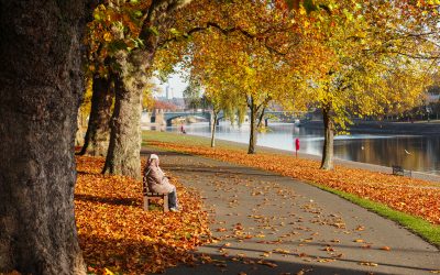 Nottingham, United Kingdom - January 3, 2012:  A couple sit on a bench amongst the beautiful red and orange Autumn leaves which have fallen from trees lining the River Trent at the Victoria Embankment with Trent Bridge in the background. (Date not set properly on camera,correct date shot 28/10/16)