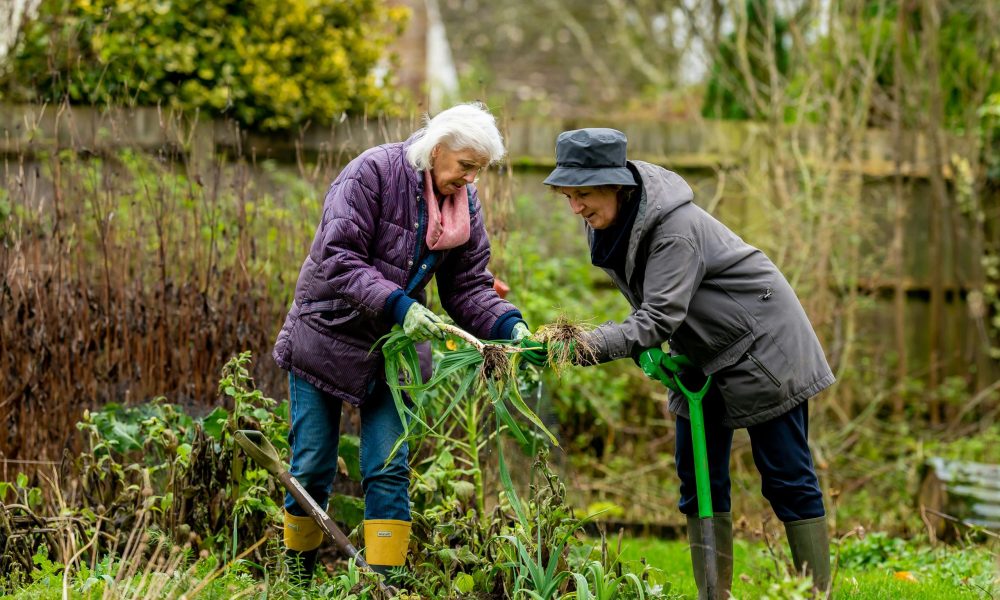 five easy gardening tips for elderly