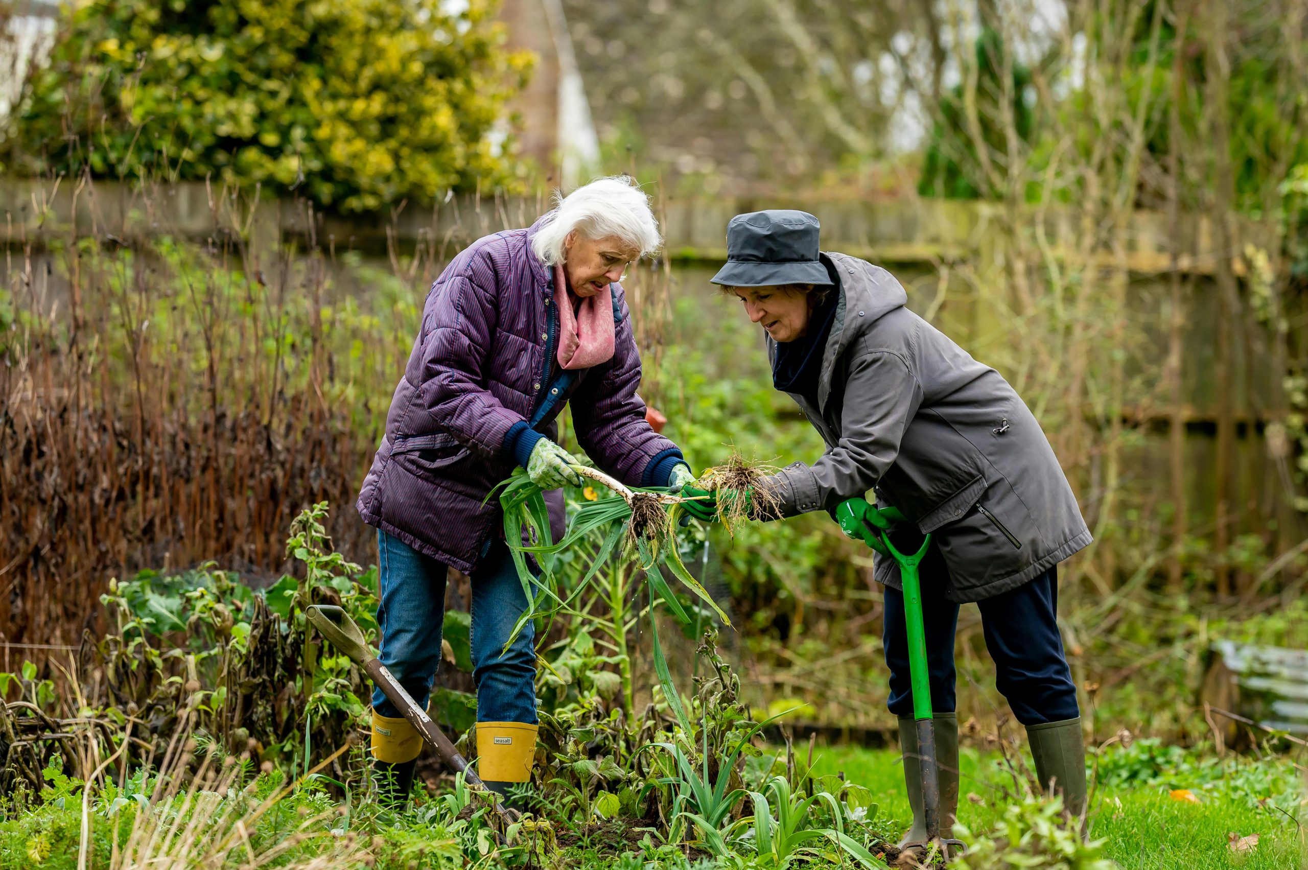 5 Easy Gardening Tips for the Elderly